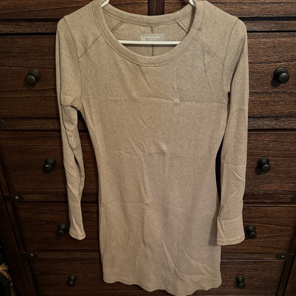 Everlane Taupe Long Sleeve Dress
